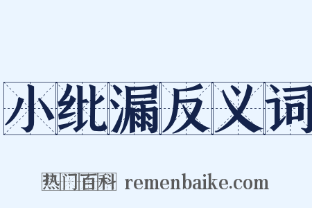 小纰漏反义词是什么意思的图片
